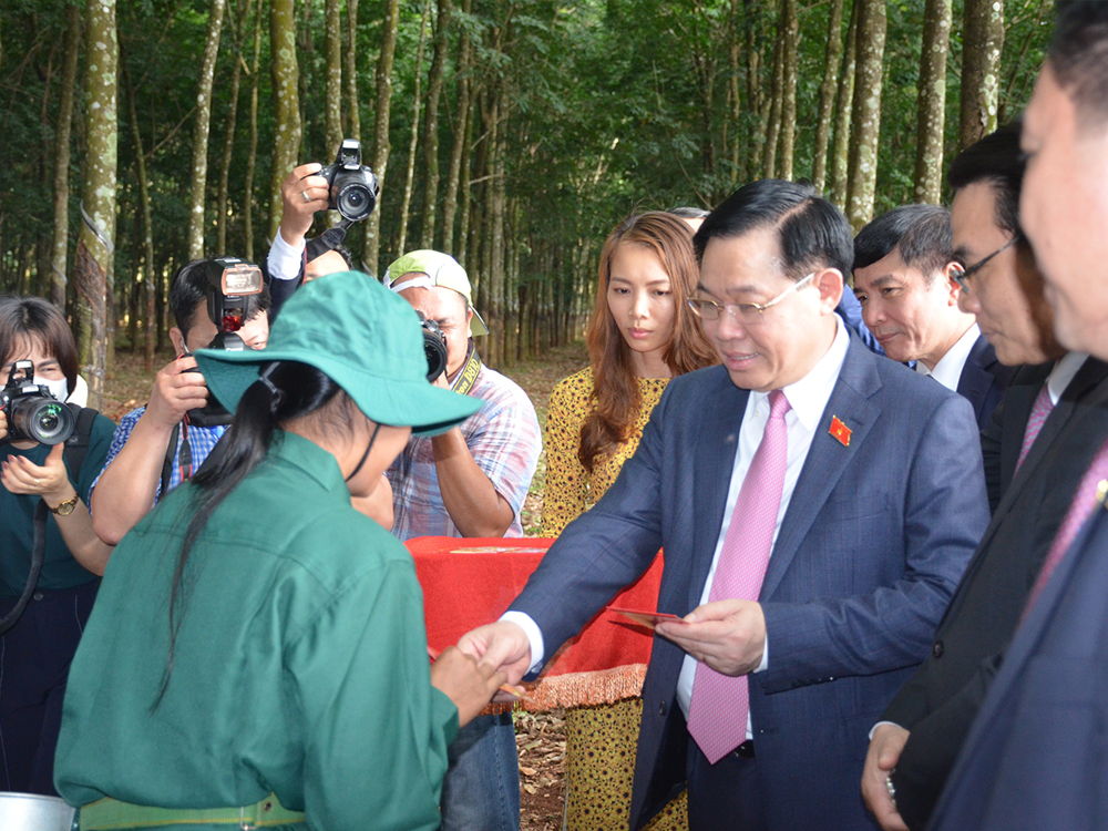 cao su việt l&agrave;o