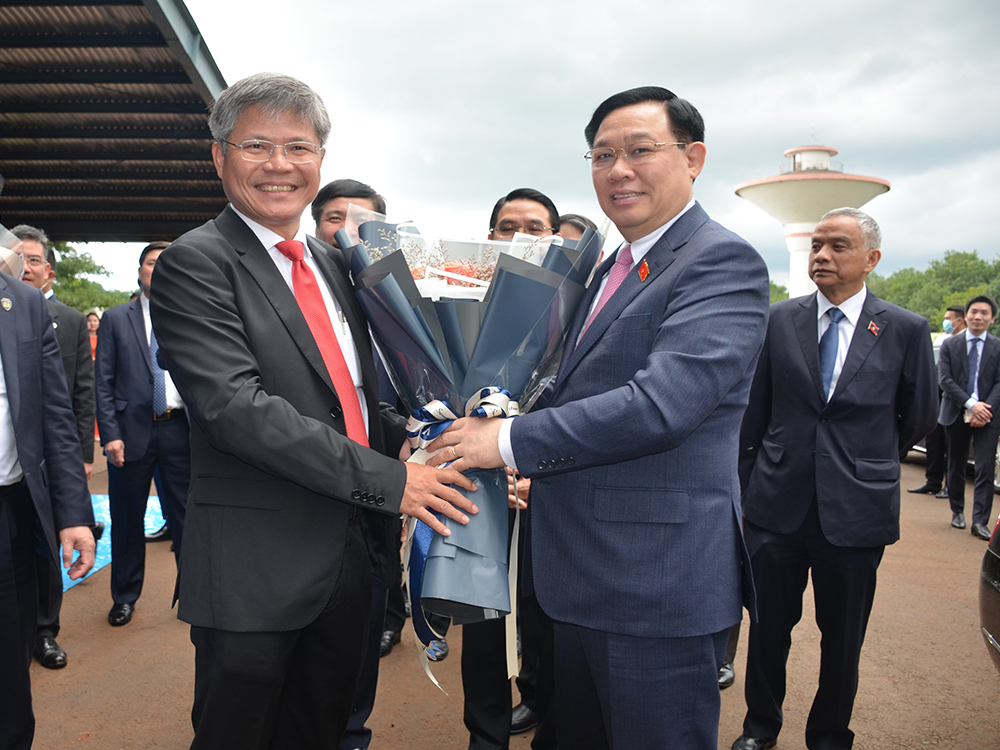 cao su việt l&agrave;o