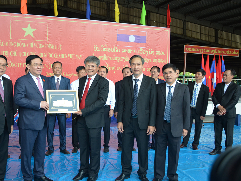 cao su việt l&agrave;o