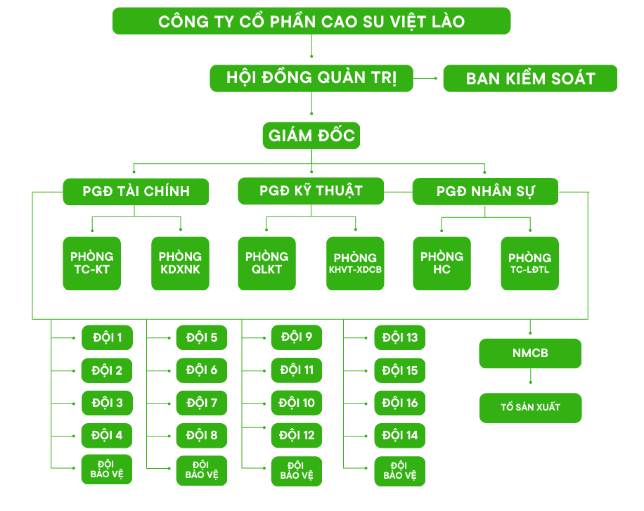 sơ đồ tổ chức việt l&agrave;o