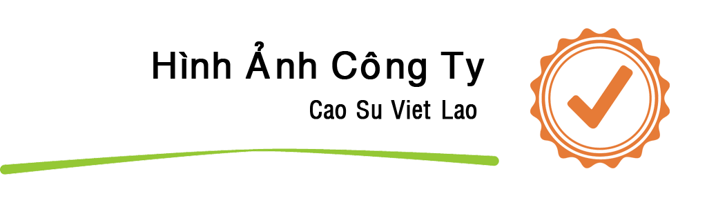 cao-su-viet-lao