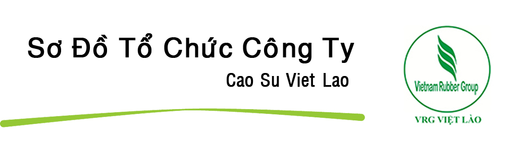 cao-su-viet-lao